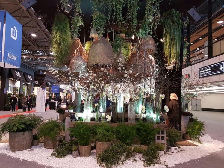 16244428_10154898112333361_1539612417_n